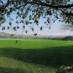 आमदारांनी उचलला जलकुंभाचा प्रश्न; सामूहिक प्रयत्नांसाठी जोर द्या